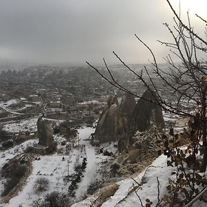 Alexander Cave House